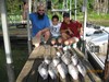 (05/30/2018) - Nice Striped Bass